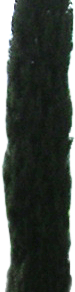 www.terratettofiorentino.com